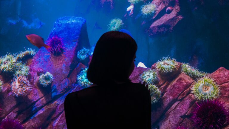 Observation Shapes Reality — You Are Not a Passive Witness